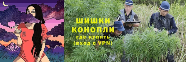 ГАЛЛЮЦИНОГЕННЫЕ ГРИБЫ Нефтекумск