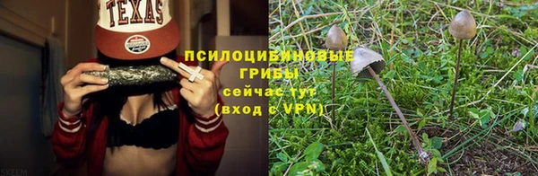 ГАЛЛЮЦИНОГЕННЫЕ ГРИБЫ Нефтекумск