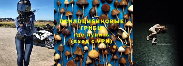 альфа пвп Нея