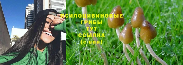 альфа пвп Нея