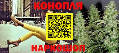 гашик Гусев