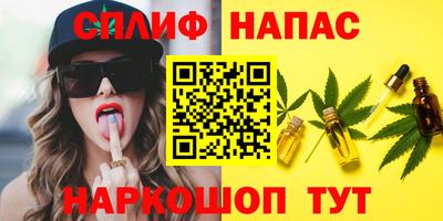 гашик Гусев