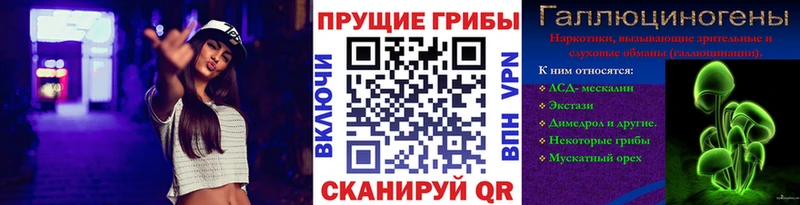 Галлюциногенные грибы Cubensis  гидра tor  Югорск  где найти наркотики 