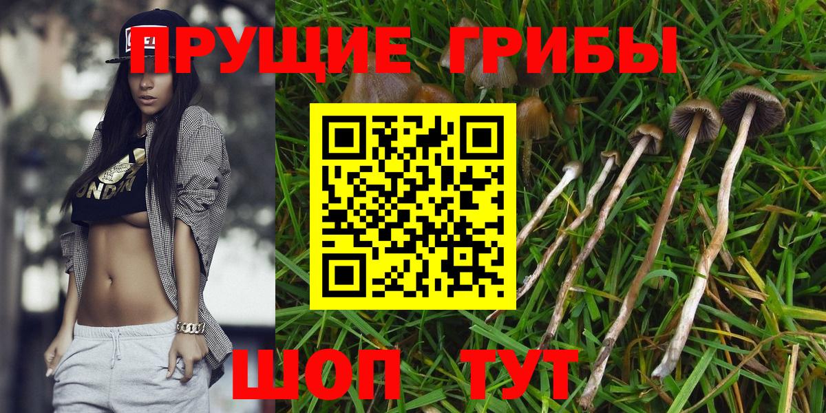 Псилоцибиновые грибы MAGIC MUSHROOMS  Вход с VPN  Югорск  Галлюциногенные грибы Cubensis 